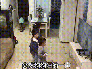 但是这狗也太聪明了网友:别耽误孩子上学去啊~有这么护娃的狗子铲屎的
