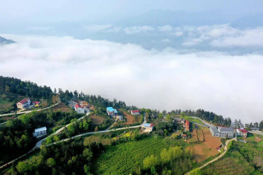 云雾中的湖北省襄阳市保康县过渡湾镇茶庵村.