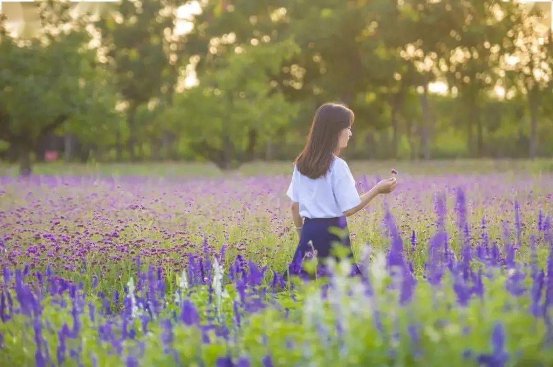 衲田花海,此刻旖旎因你而在