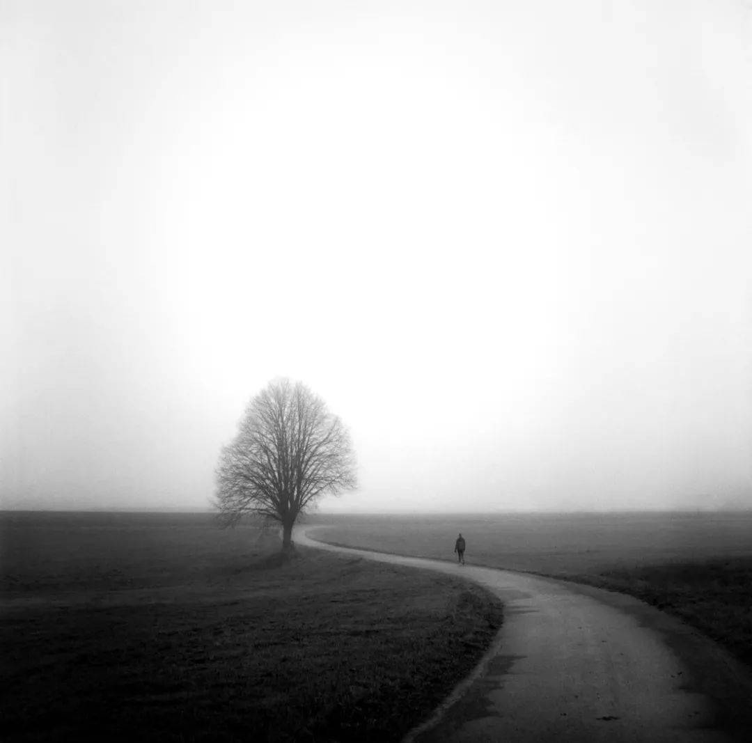 在线影展|静谧的孤独-黑白极简主义摄影奖作品