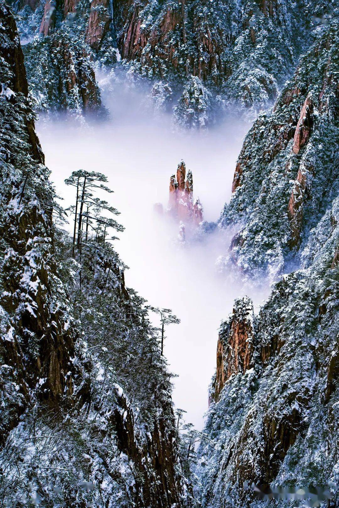 仙境黄山