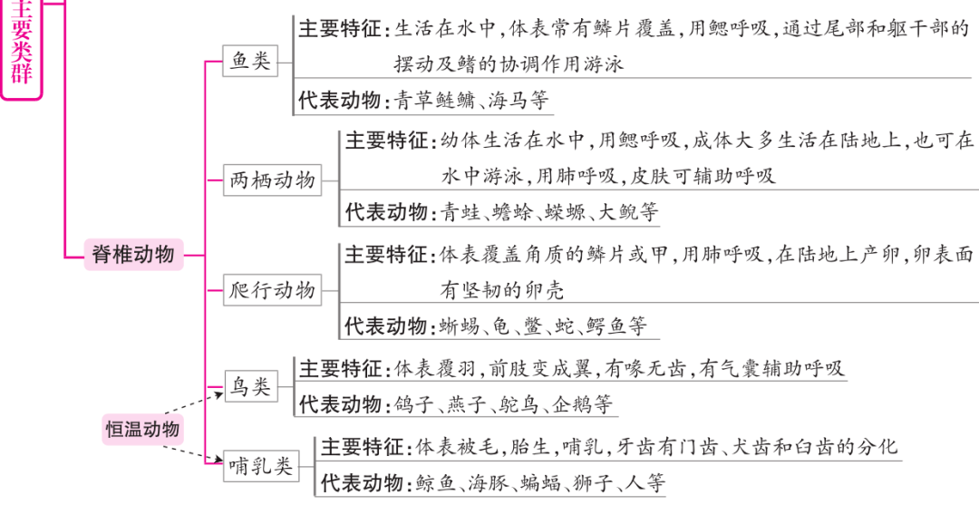 初中生物各章节概念图