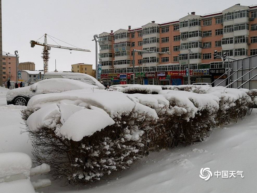 内蒙古呼伦贝尔遭遇大暴雪 最大积雪深度达24厘米