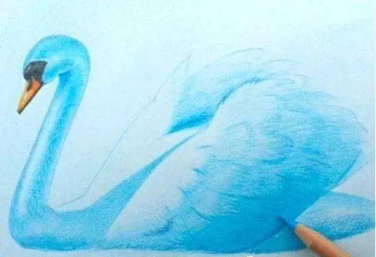 彩铅手绘入门天鹅怎么画美丽的天鹅彩铅绘画步骤教程