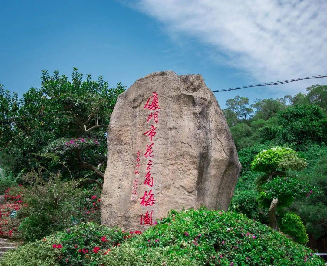 进入梅海岭会先看到大大的石头上,刻着"厦门市花三角梅园".