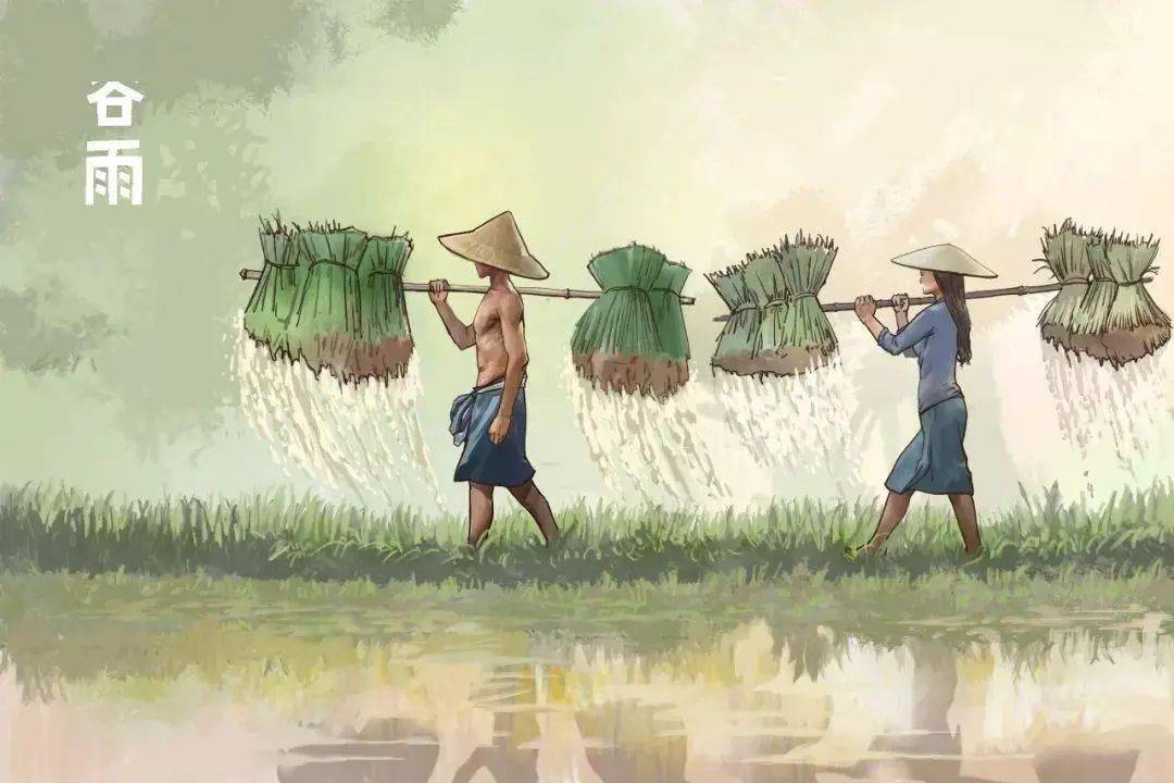 谷雨贴