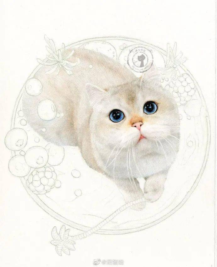 彩铅手绘入门 | 小猫咪彩铅手绘全过程,可爱小猫全身彩铅画