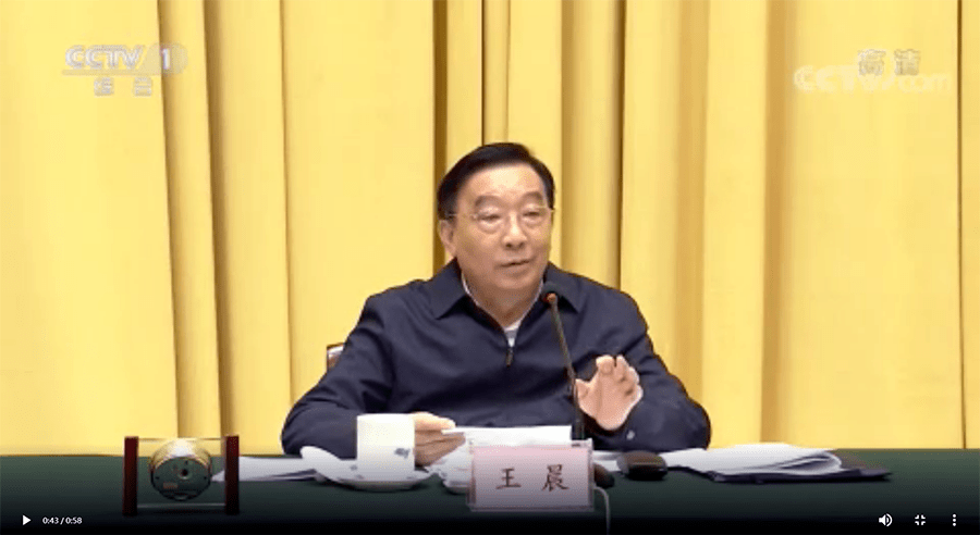 全国人大常委会副委员长王晨:法律修改要增加船员保障