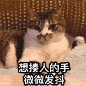 第79期喵表情丨面对猫的黑丝诱惑,我流口水了