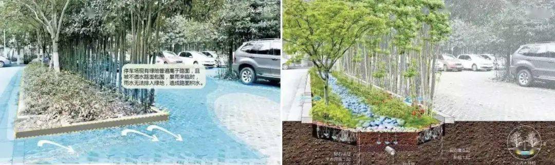 传统住宅区中的宅间道路和绿化带可以改造成透水路面和生物滞留池