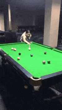 搞笑GIF:为什么唯有我独自在喝酒?