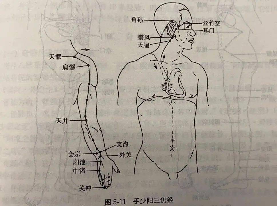 十二经络的循行部位与表里关系2