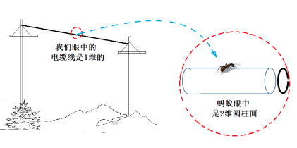 微观世界藏玄机:从蚂蚁的视角来感受"世界的参差"