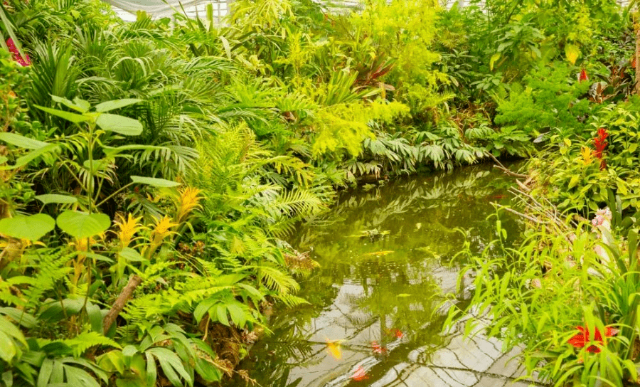 亳州这座花海边的植物科普园是你不能错过的打卡地