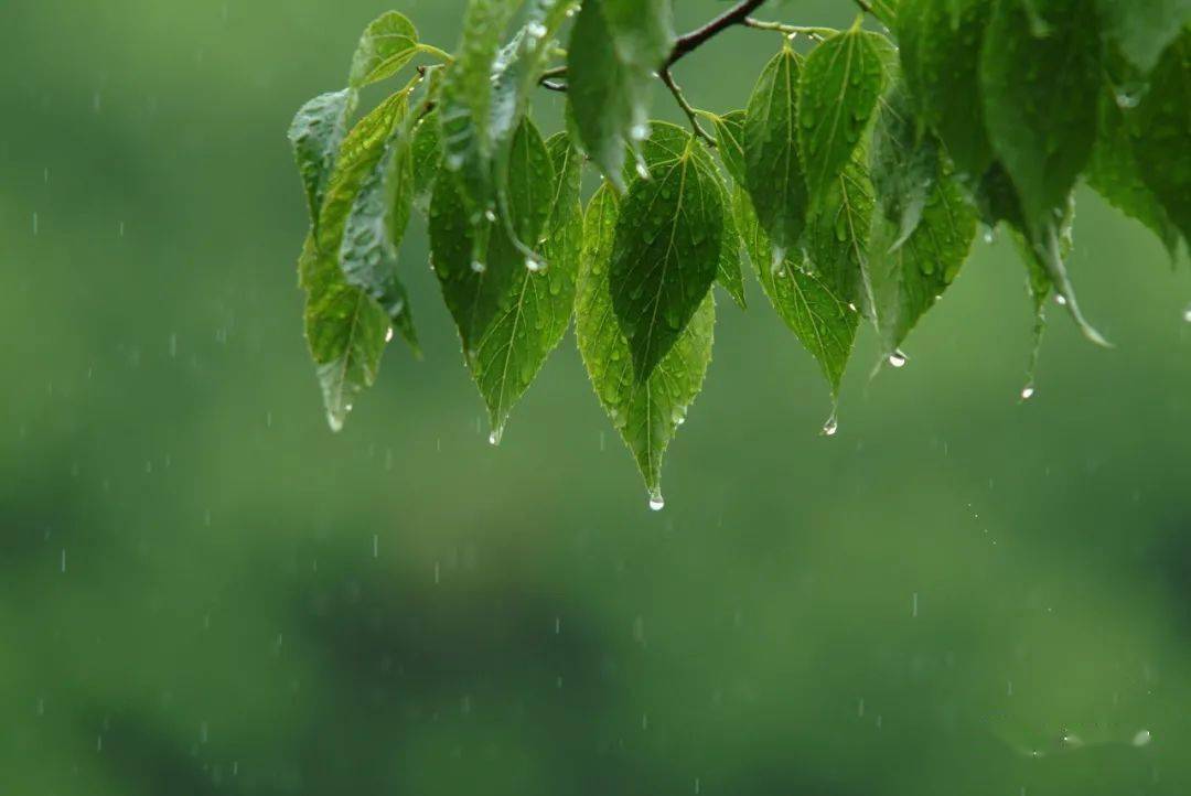 天气可能又要由晴转雨了.