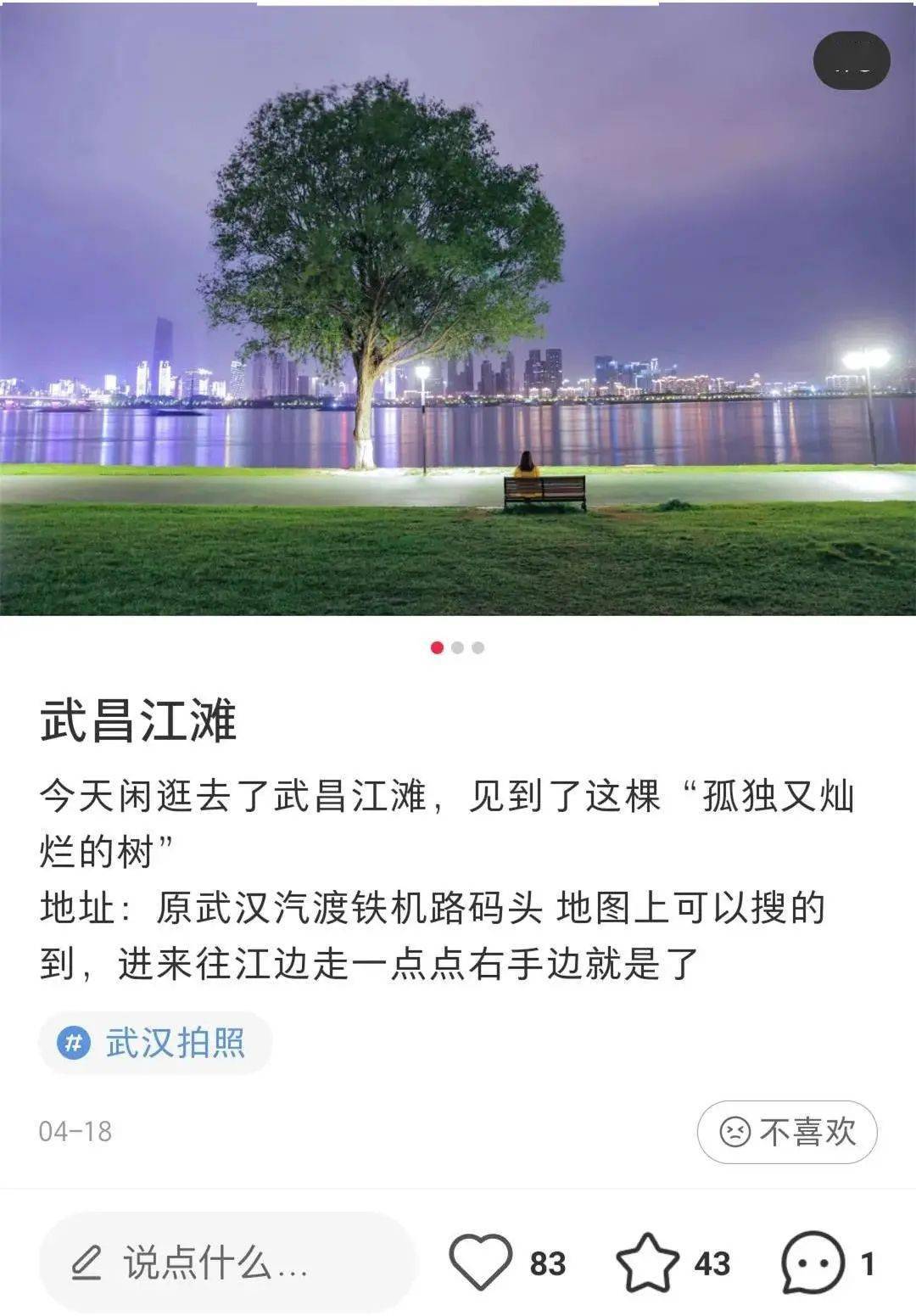 武昌江滩边有棵树火了