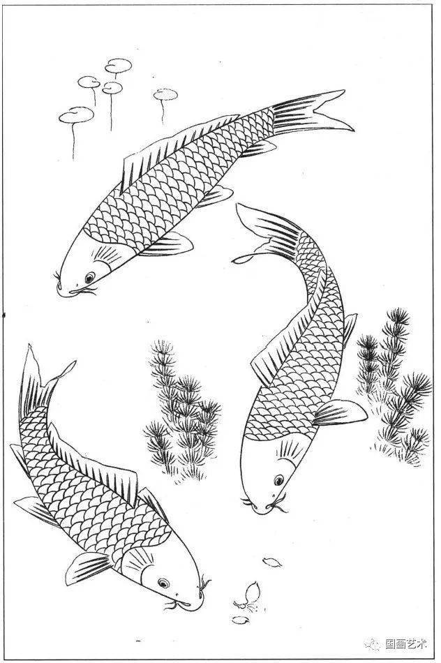 花鸟鱼虫白描画谱分享