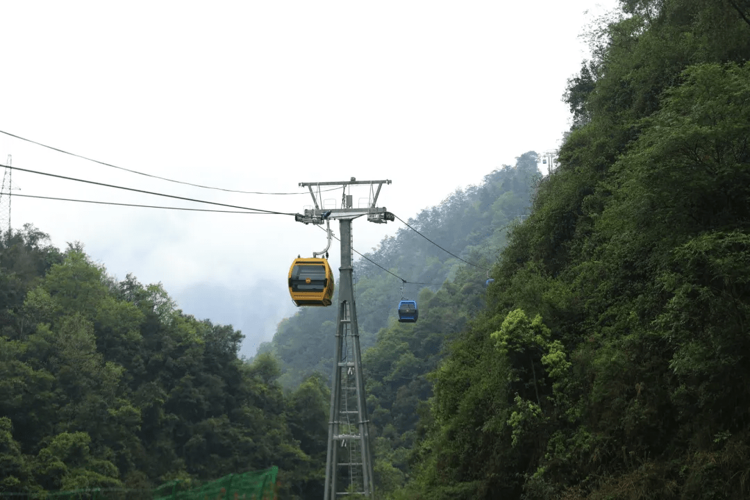 王岗坪景区索道起点位于叶家沟(游客中心,海拔1100米,索道全长3500米