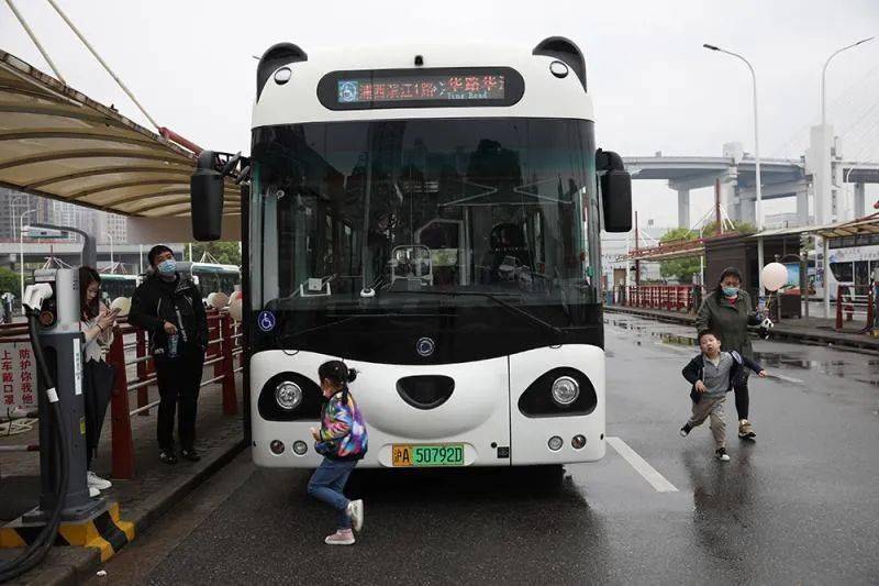 国宝级可爱!上海熊猫公交车上路,车顶自带熊猫小耳朵