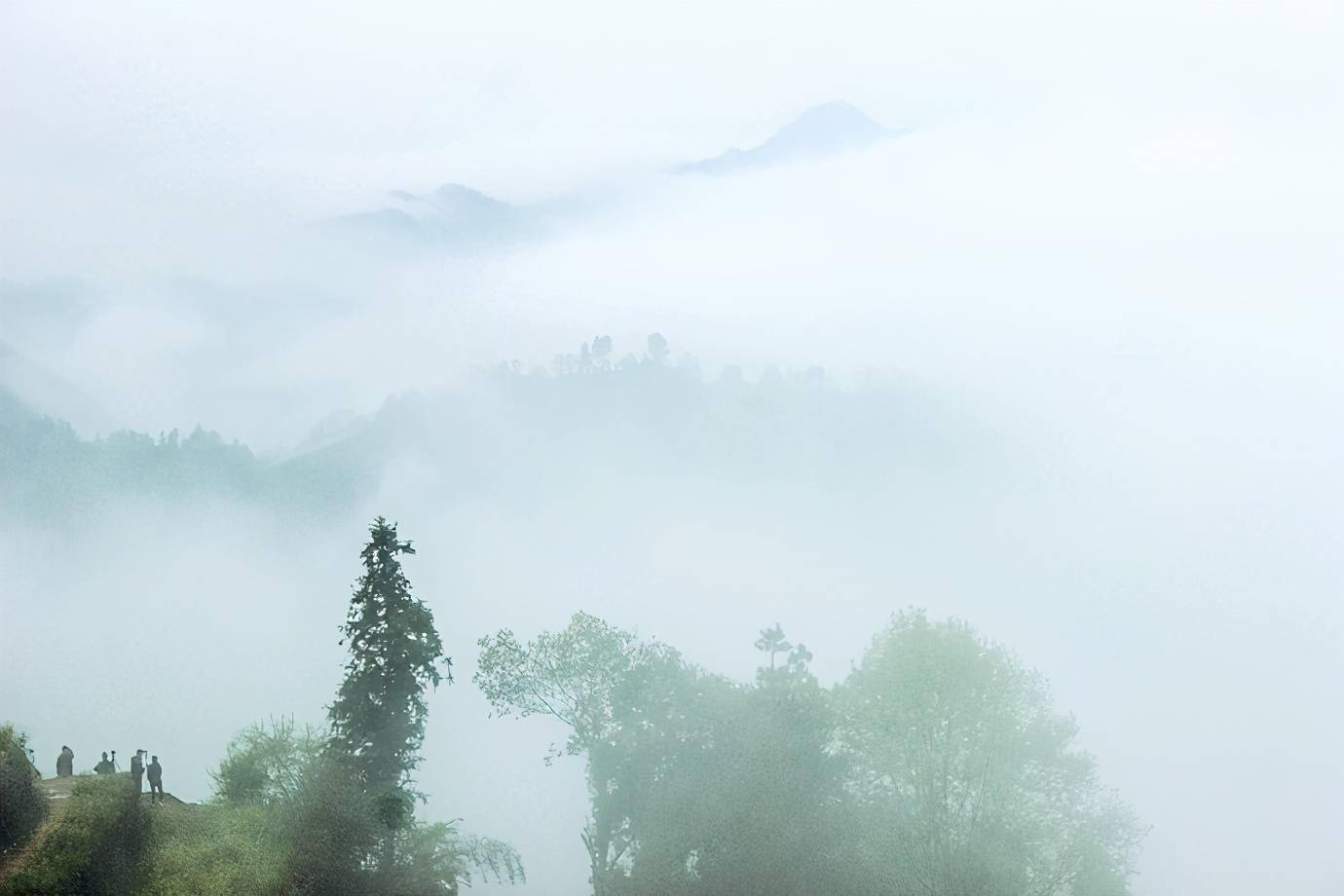 晨雾里的下汰村像在云端里人在雾中行雾在山间游感觉很奇妙