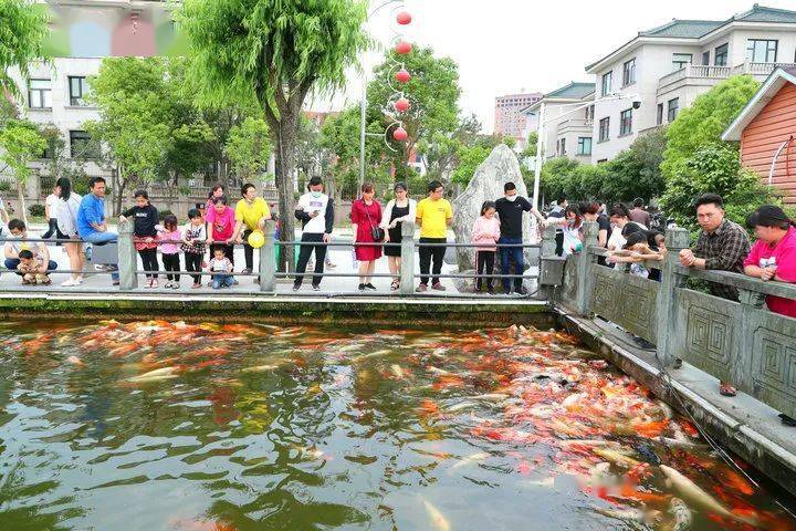 花园村景区狂撒春风福利!开启全家趣玩之旅