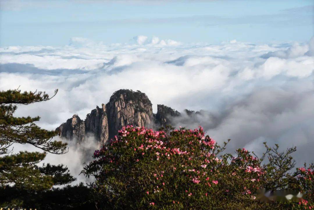 "五一"假期黄山旅游实用攻略!_黄山风景区