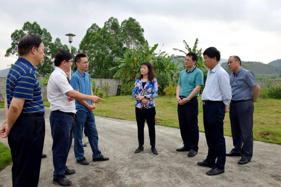 上,督导组听取了凭祥市副市长赵世文代表凭祥市人民政府汇报有关情况