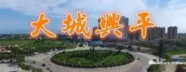 陕西省兴平市将来会撤市设区吗?网友怎们说