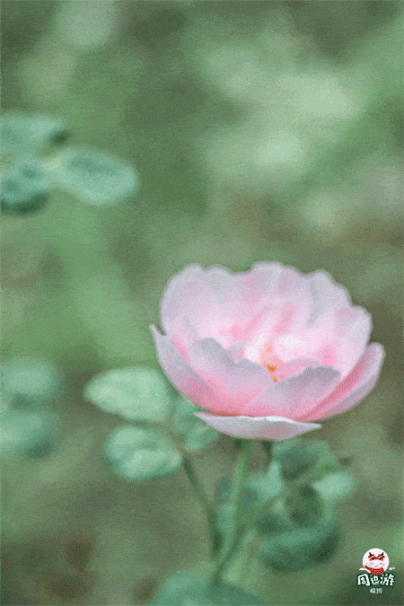 450_675 竖版 竖屏