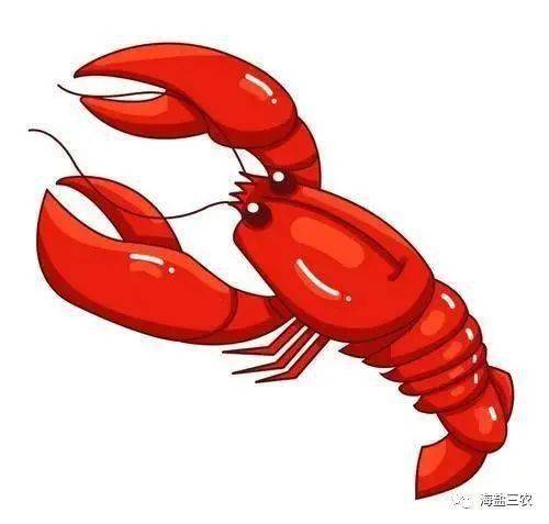 海盐县第三届稻田龙虾文化节精彩预热钓龙虾大赛等你来报名