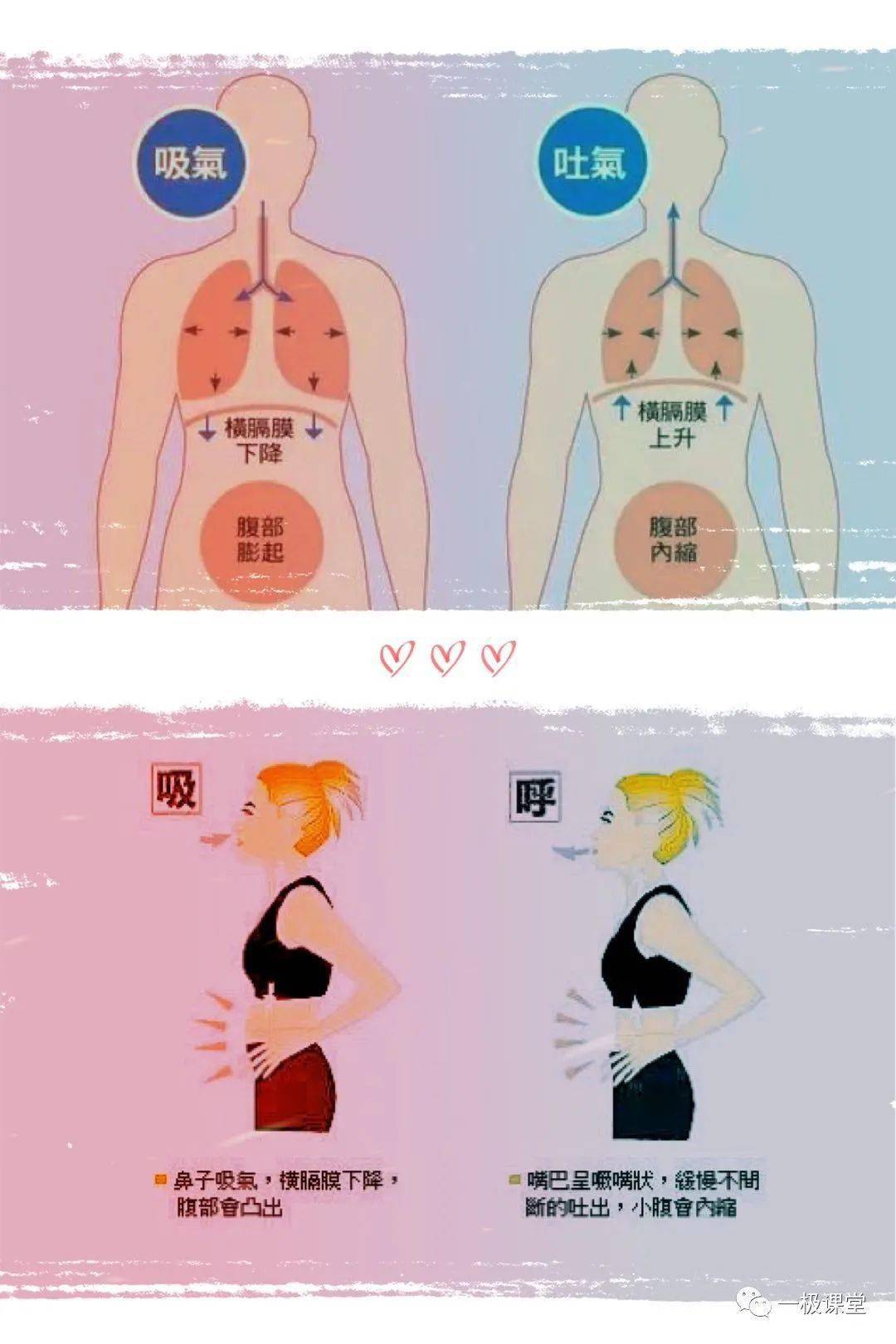 腹式呼吸:不用关注肺!