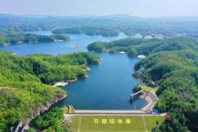 会昌石壁坑水库,数百只白鹭在水库周边栖息,时而在水库上空飞翔,时而