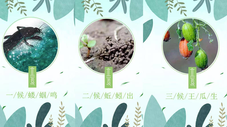 7474立夏三候"小荷才露尖尖角,早有蜻蜓立上头.