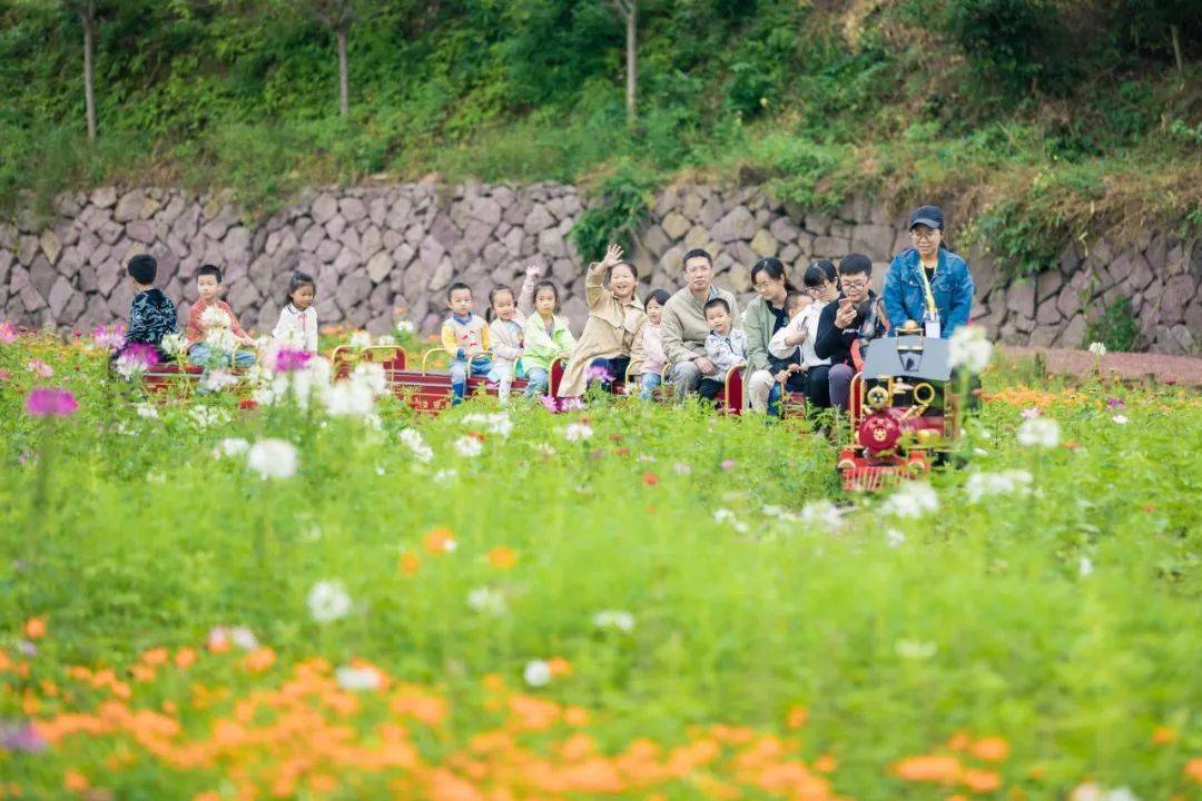 那一定是金华武义的花田小镇.