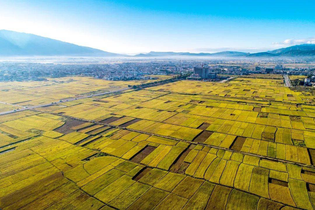 省政府大理现场办公会明确了大理农业绿色有机的发展方向和打造世界一