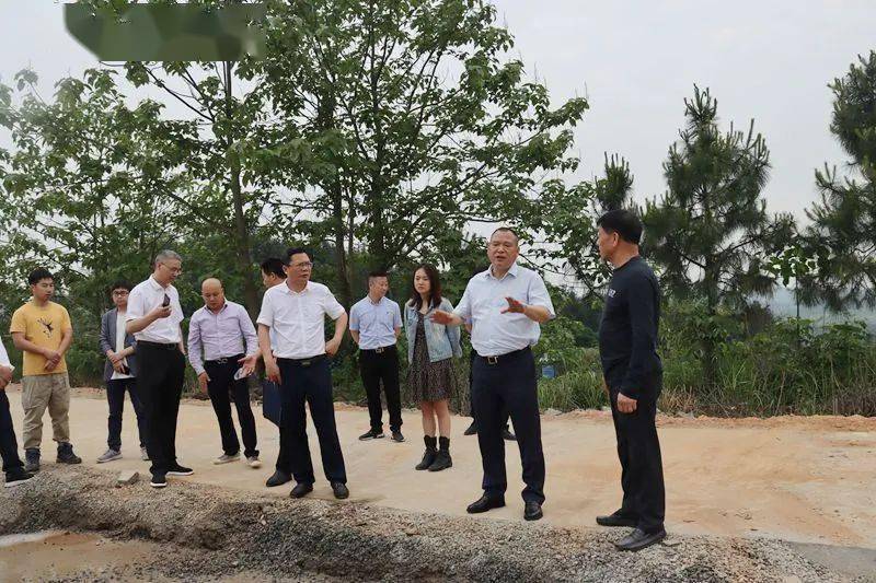 高新区党工委副书记,管委会主任舒永忠督导矿山生态环境问题整改工作