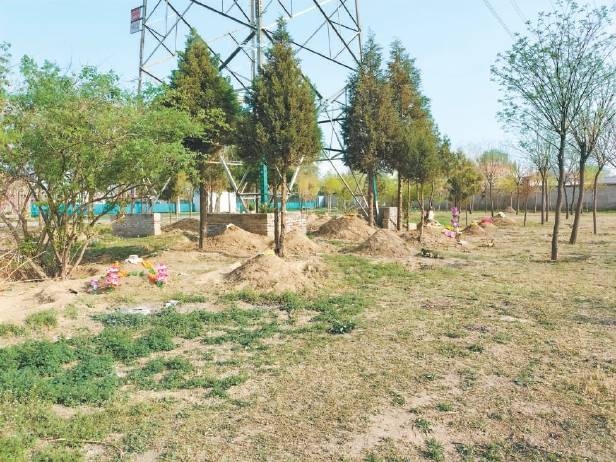 北京郊野公园集体林地频频冒坟头