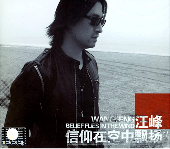 汪峰最经典的十二首歌,每一首听了都震撼心灵!现场聆听更珍贵!