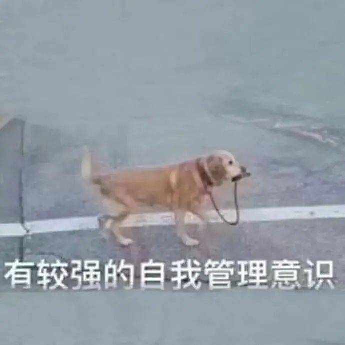 "男闺蜜深夜晒腹肌照找老公?"评论当场笑yue