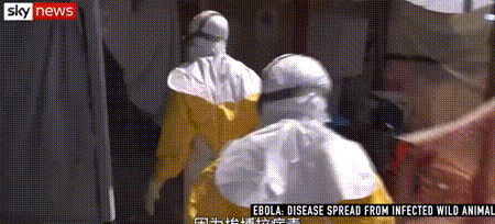 豆瓣8.7分的震撼纪录片《渔业阴谋