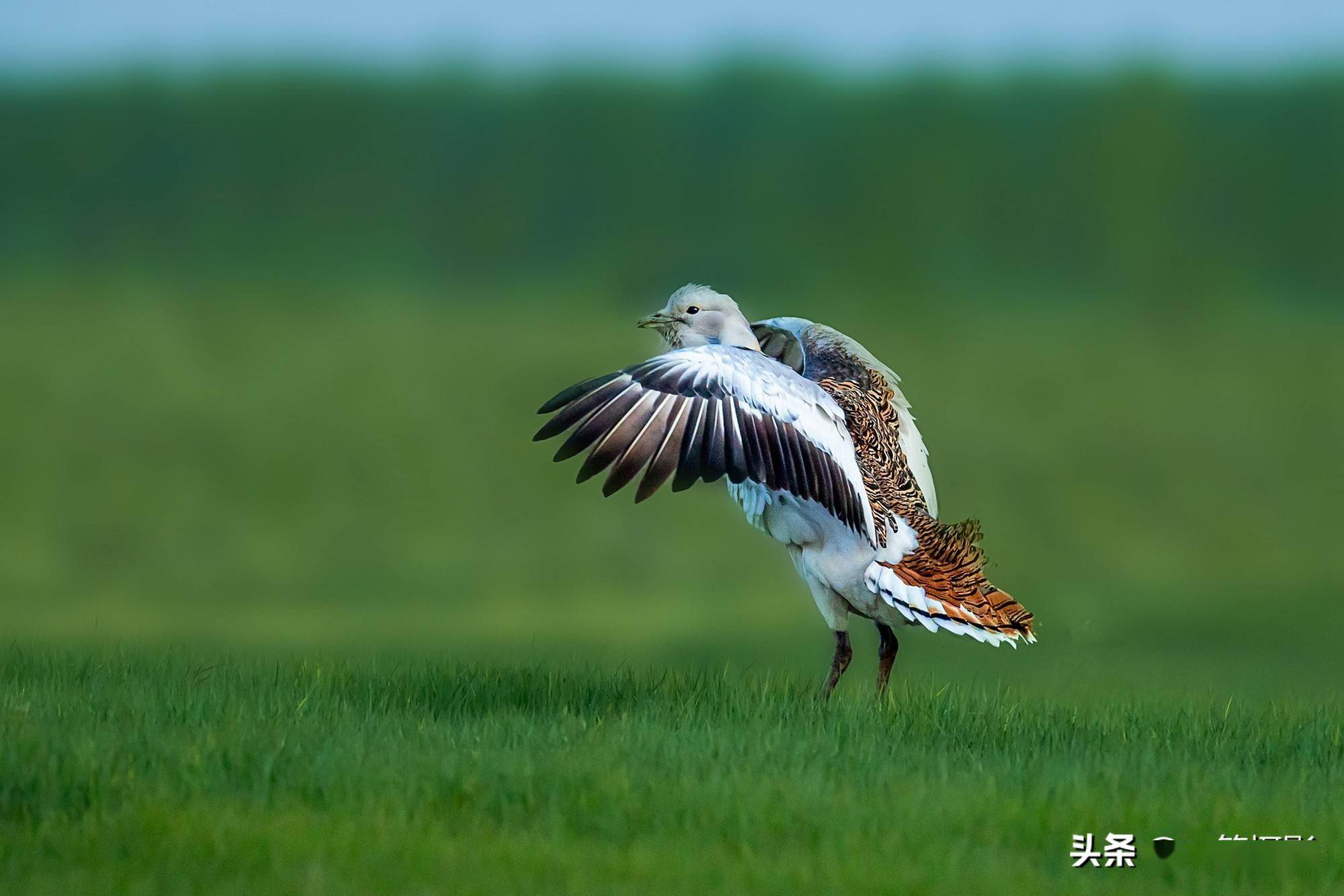 2021年5月13日,"山水之间"拍摄于内蒙古乌兰浩特.