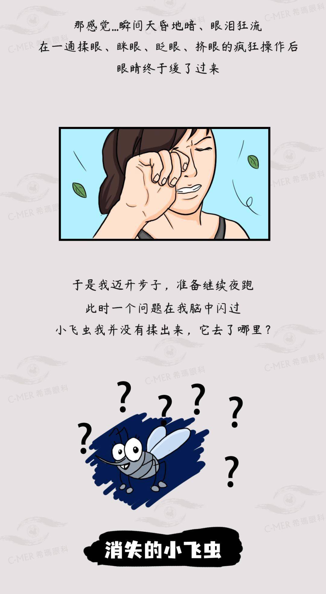 终极谜题:那些不小心进入眼睛的小飞虫最终去了哪?