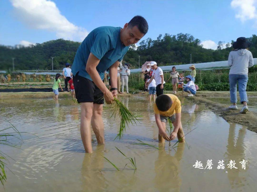 所以适合男女老少 在活动导师的指引下 学习拉弓射箭 插秧体验 农耕