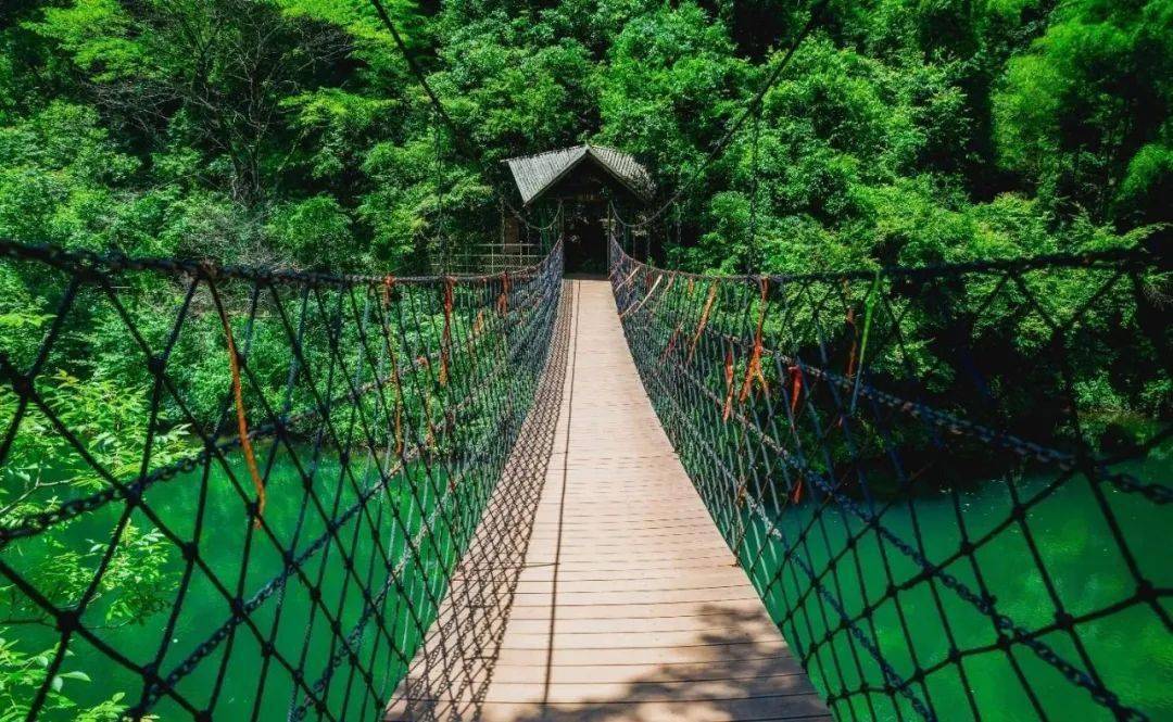 醉山野景区:门票半价(5月19日)