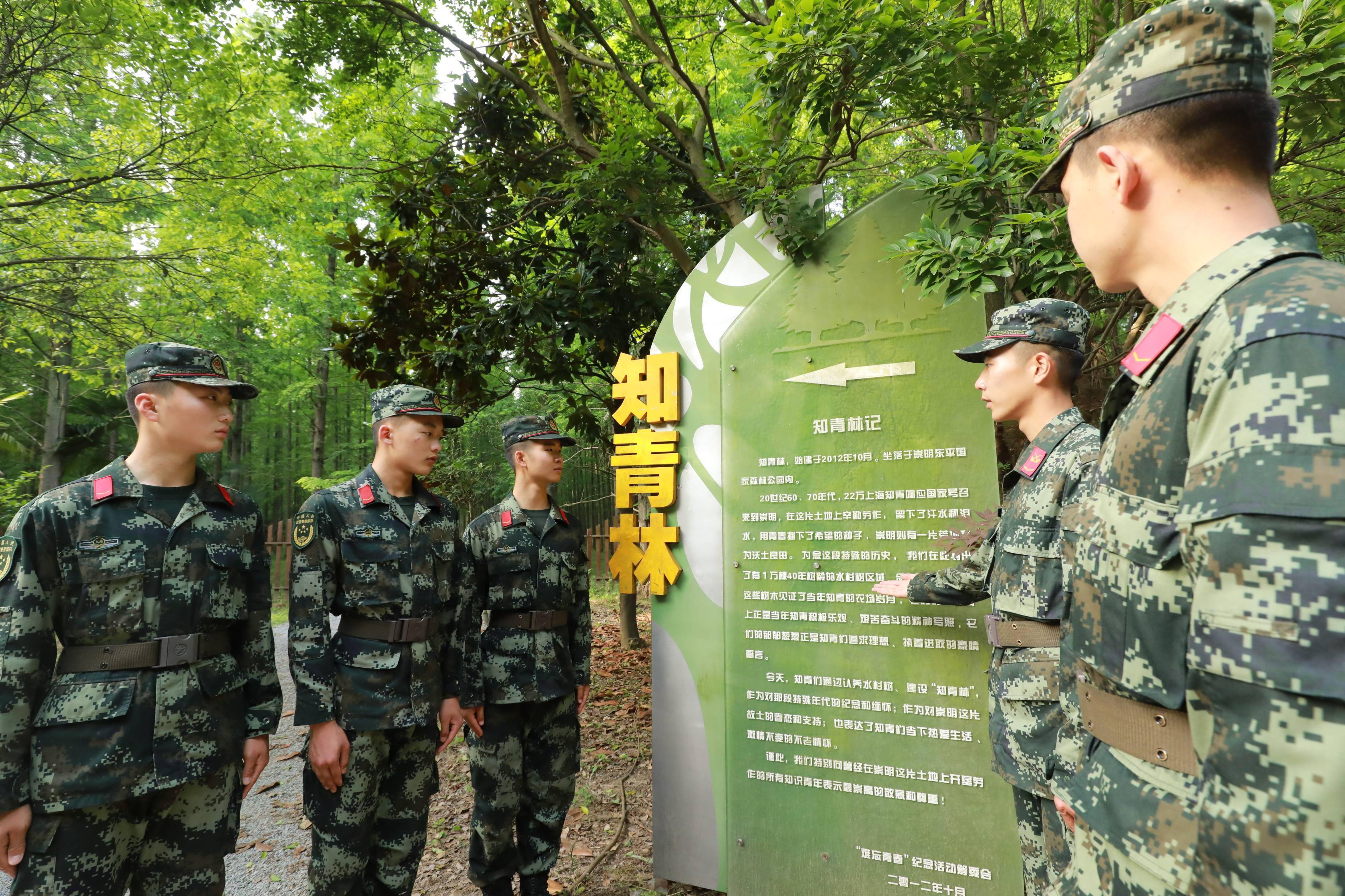 武警上海总队执勤第二支队执勤一大队官兵助力驻地生态文明建设纪实