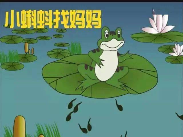活动地点 大兴区图书馆四楼科普活动园 创意课堂——小蝌蚪找妈妈
