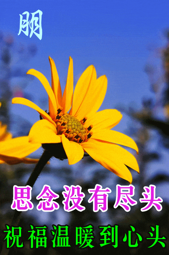 5月25日最漂亮早上好动态表情图片大全早晨好动图美图大全