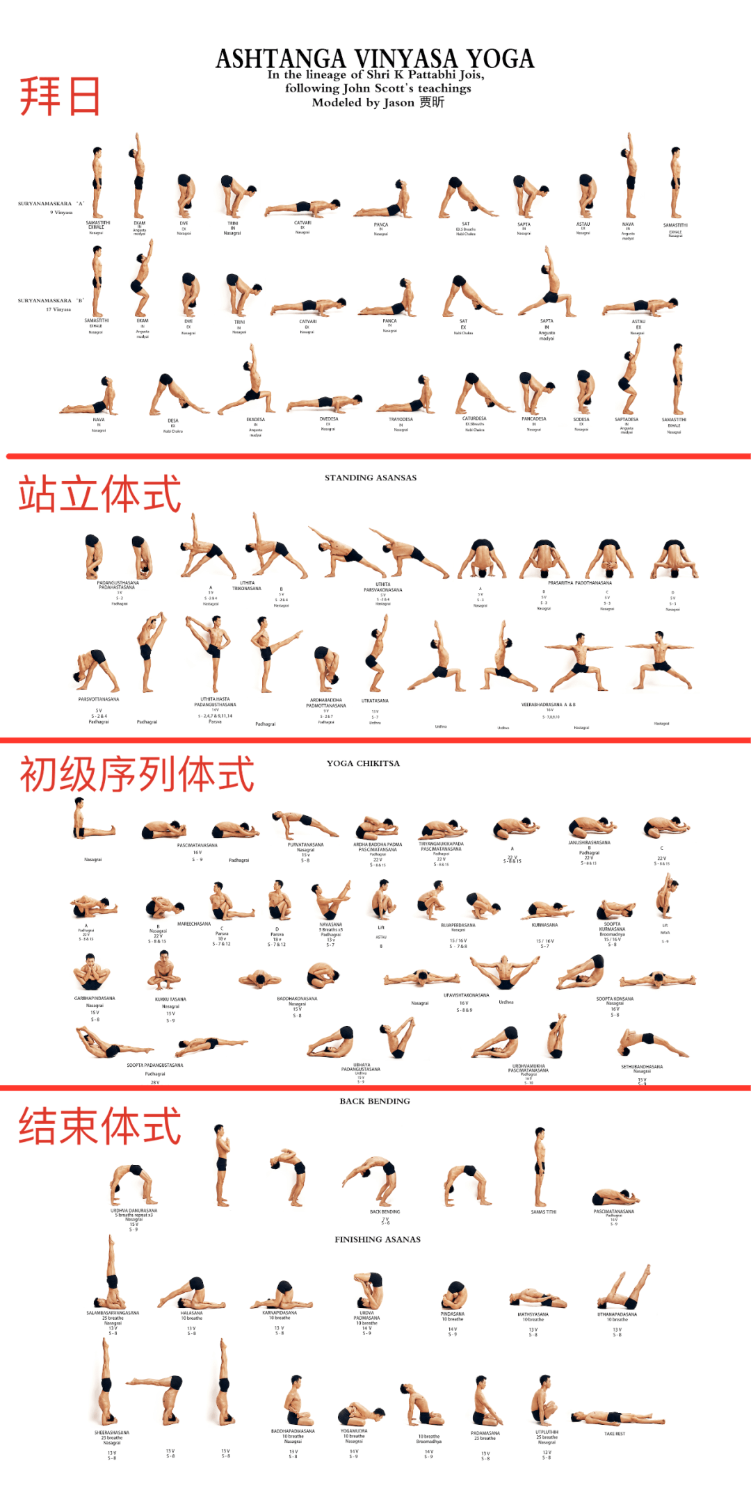 我们都知道阿斯汤加是流动串联的练习,实际上每个序列都是有固定的