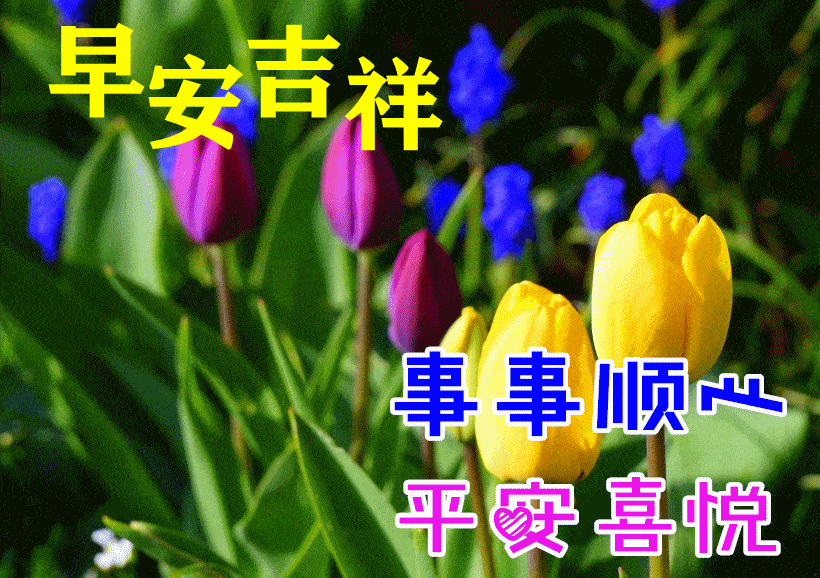 久别的情,一生的缘,祝朋友幸福到永远,早安