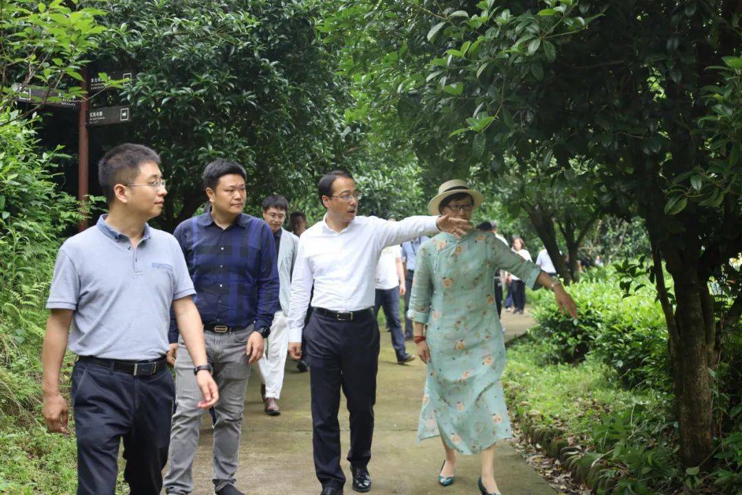 开化县委书记鲁霞光一行专程赴御玺调研茶产业发展